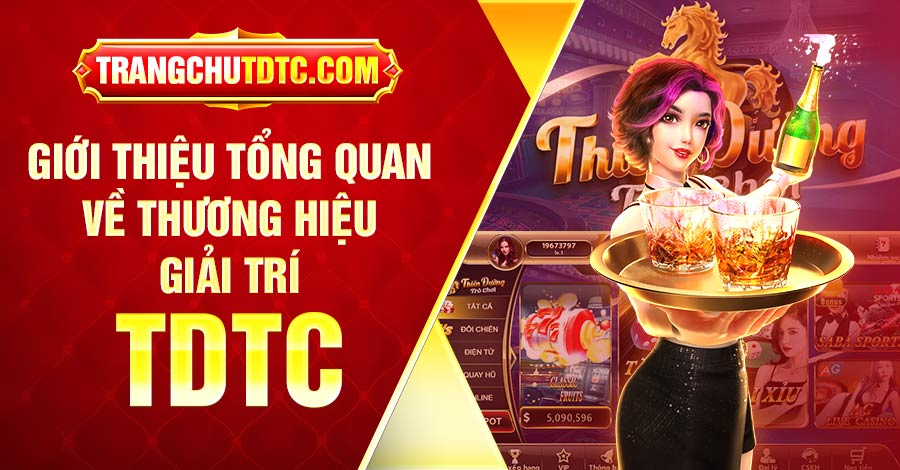 Giới thiệu tổng quan về thương hiệu giải trí TDTC